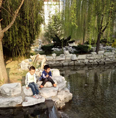 某小區(qū)景點(diǎn)